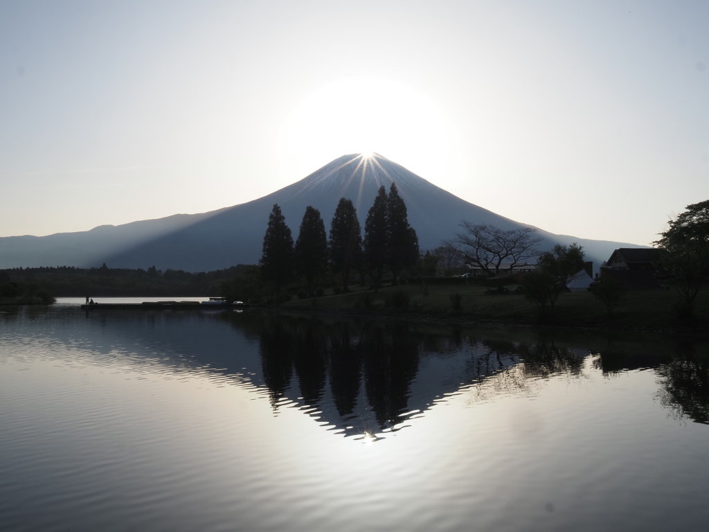 4/25 �_�C�������h�x�m