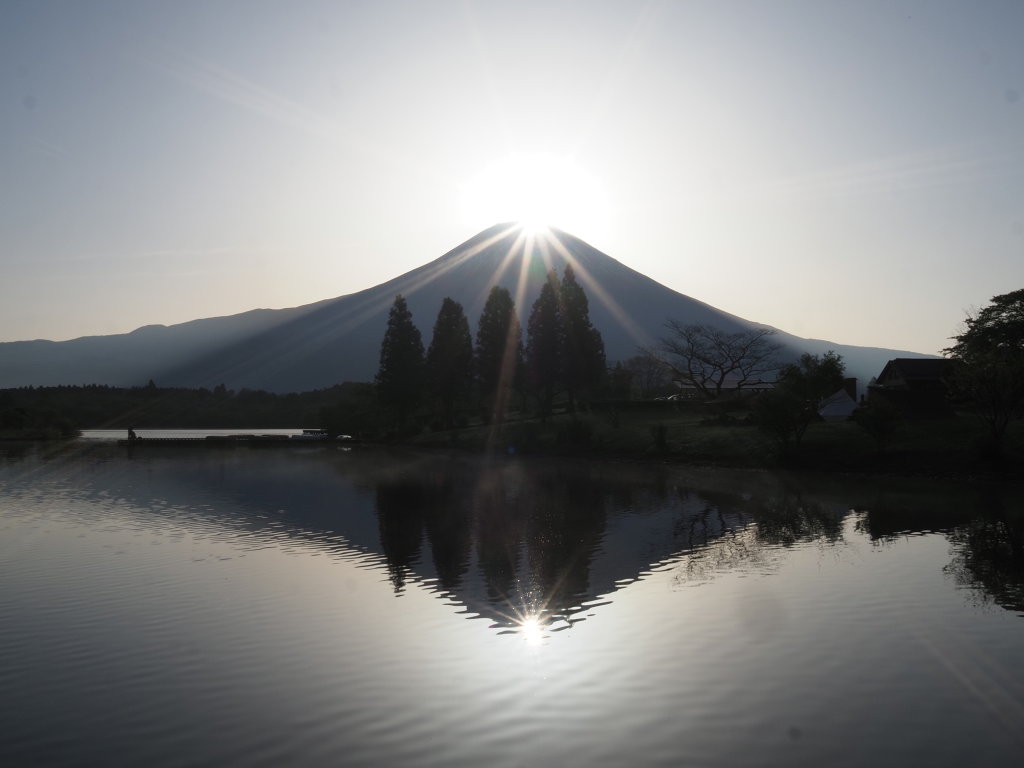 4/25 �_�C�������h�x�m(2)