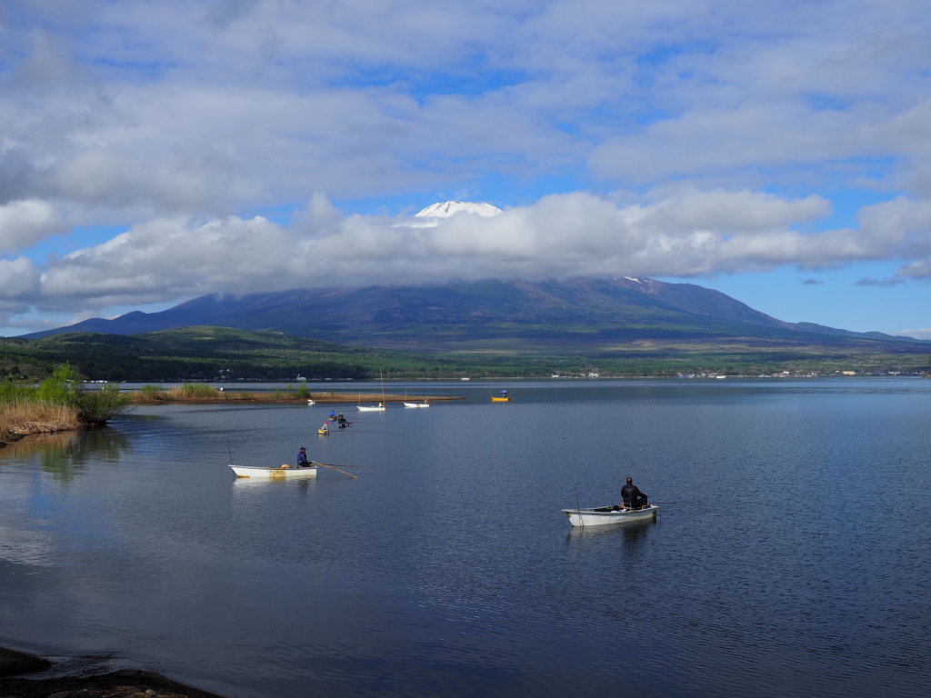 5/7 ��u�̕x�m�R