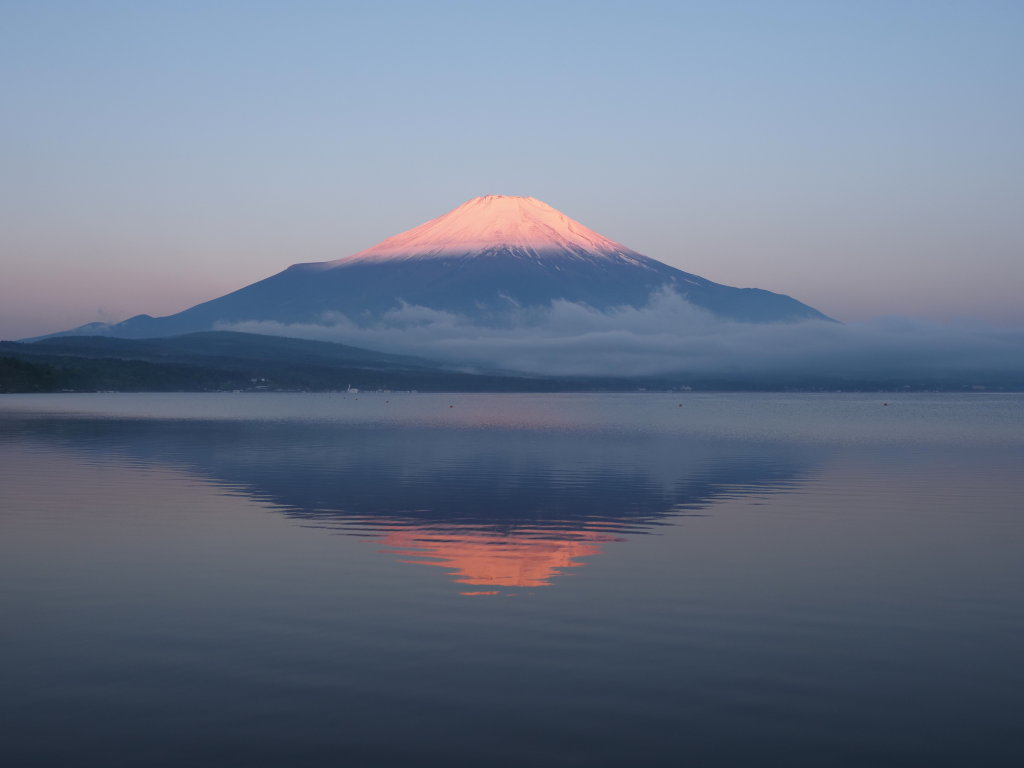 5/23 �t���g�x�m