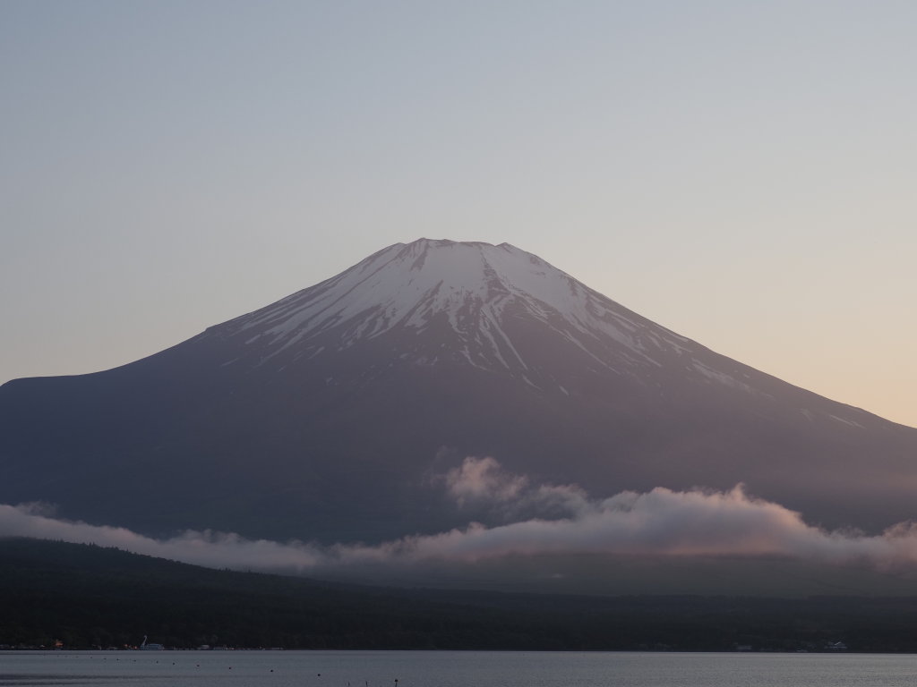 5/24 �[�Ă��̕x�m�R