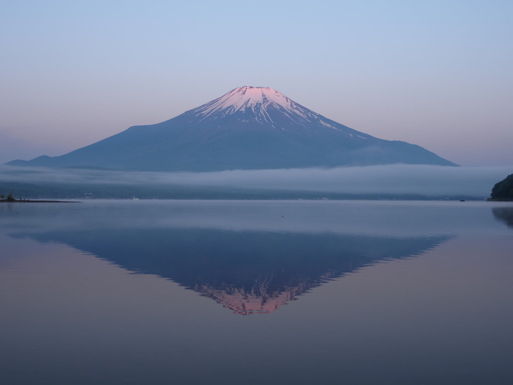 5/25 �t���g�x�m