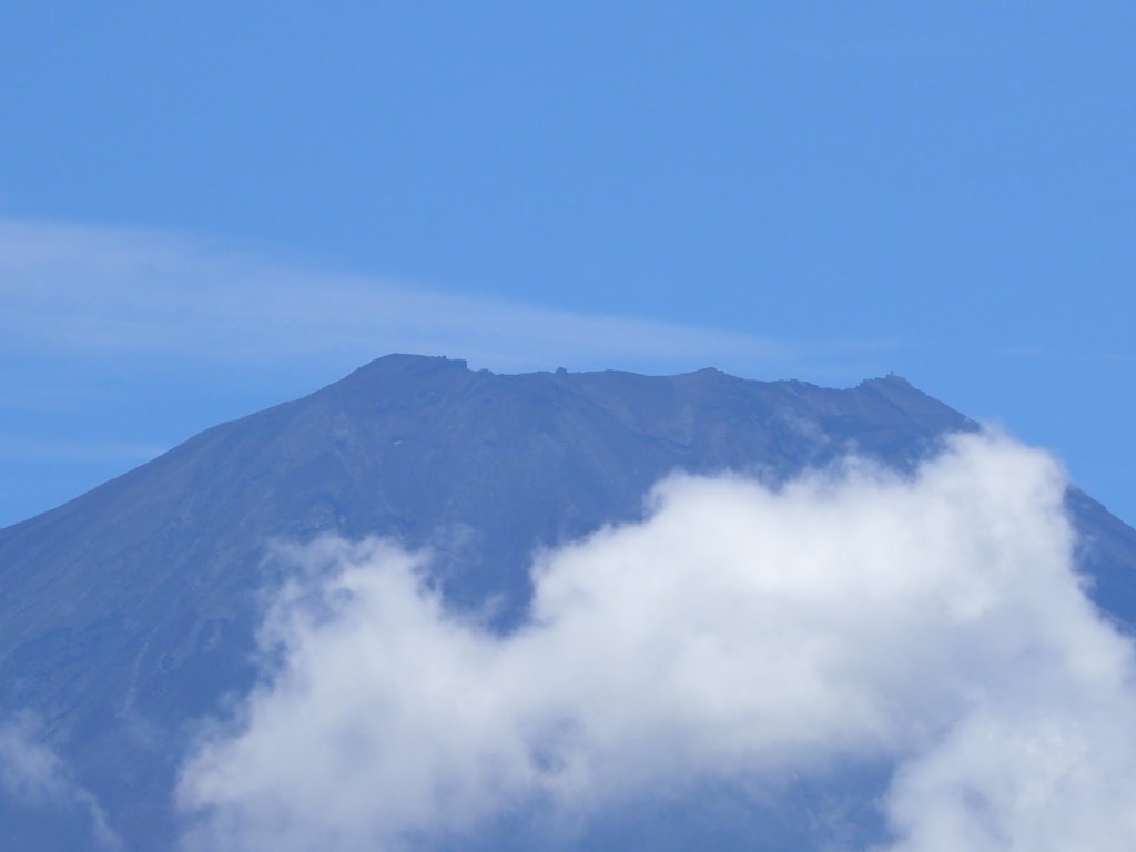 7/24 �{���΂���̕x�m�R