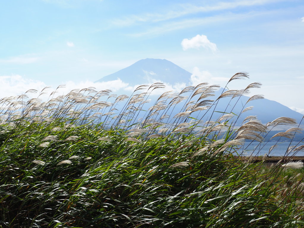 10/4 �����d�l����