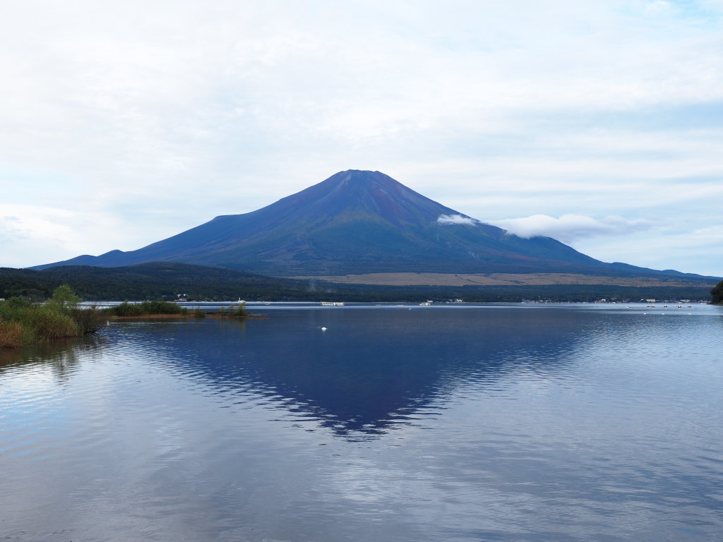 10/8 �܂�̕x�m�R