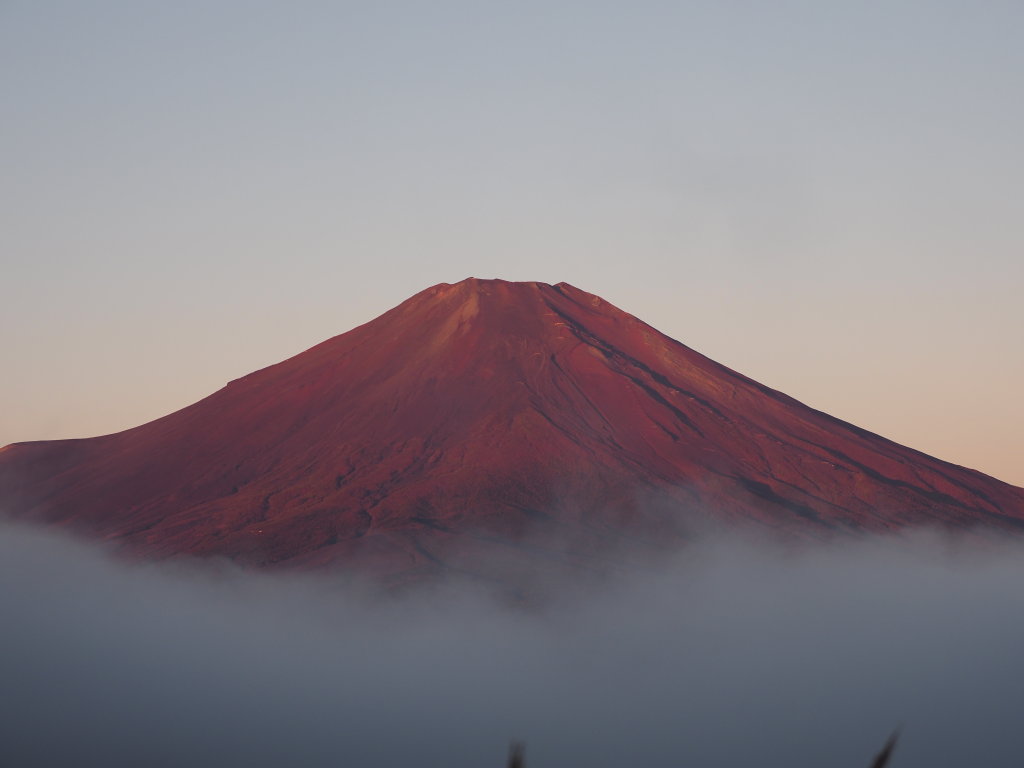 1020 �_�C�Ɛԕx�m