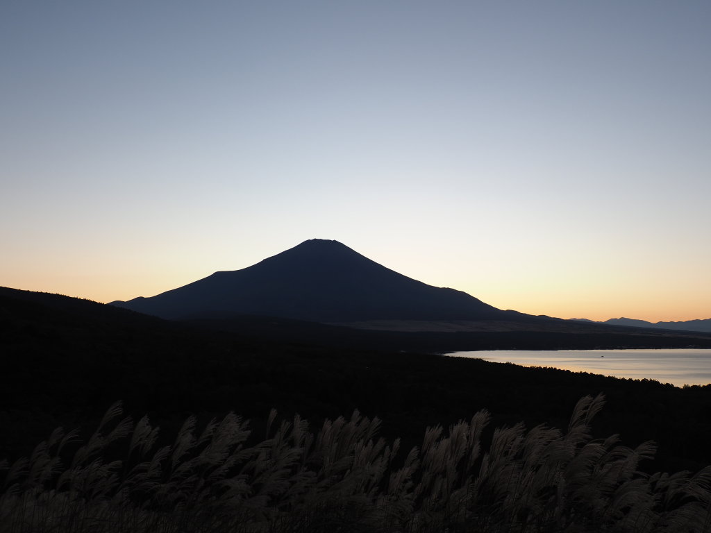 10/20 �s�[�J���̗[�Ă�