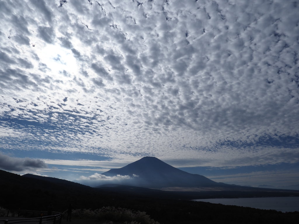 ���낱�_��t(Olympus �d-�M�P�U)