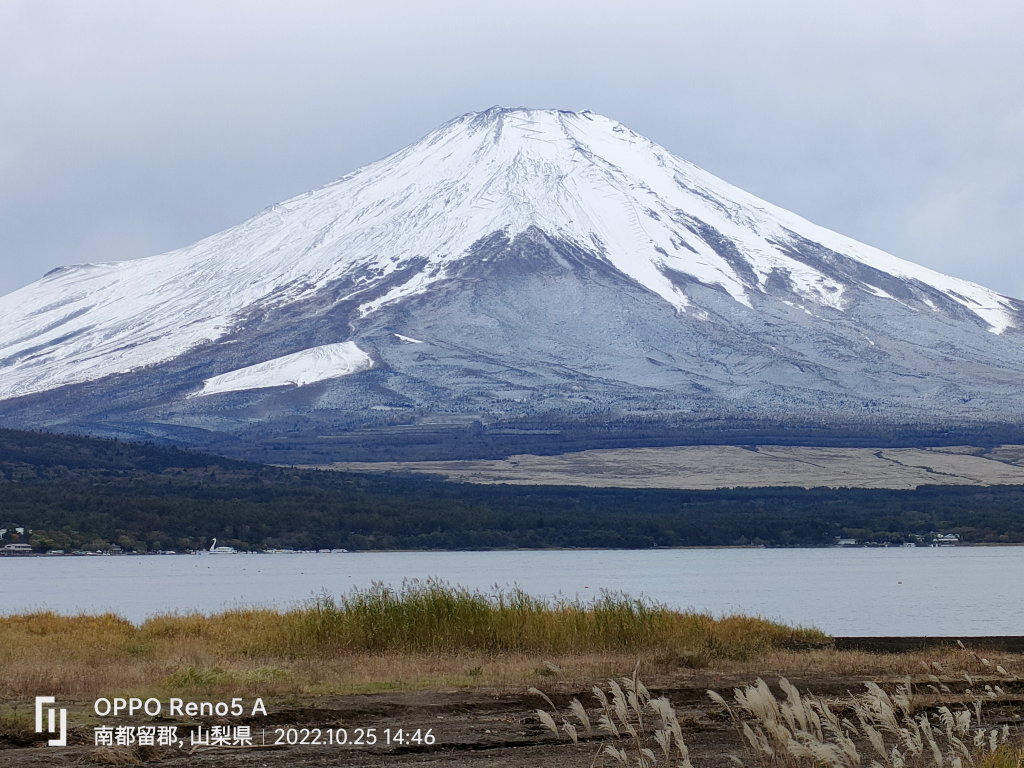 10/25 ��̕x�m�R