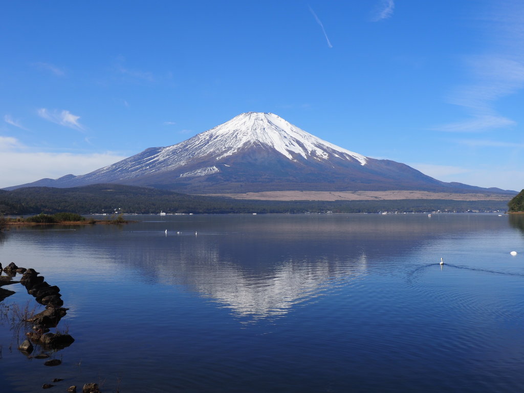 10/27 �t���x�m