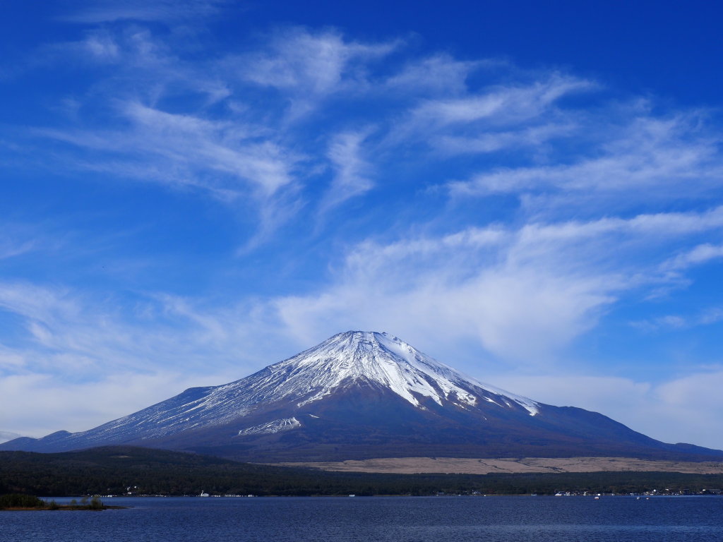 10/27 �_�ƕx�m�R