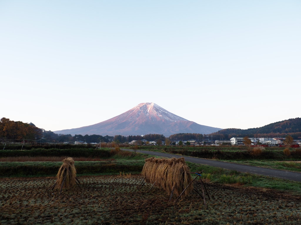 11/08 �����I��芣��