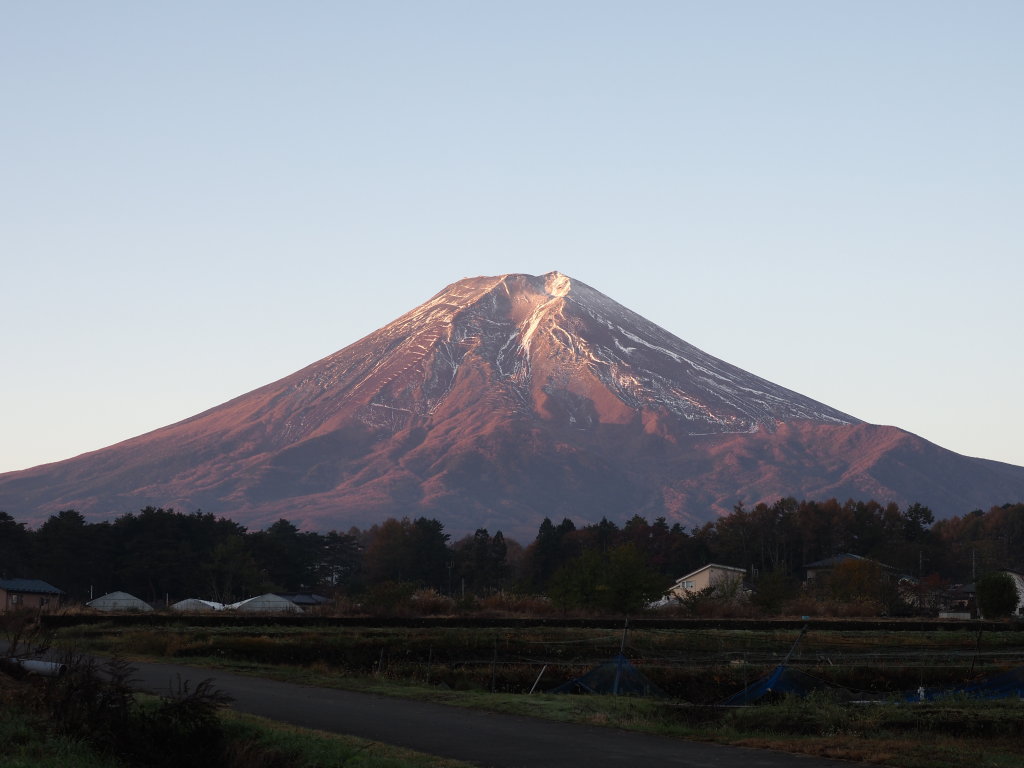 11/08 �������