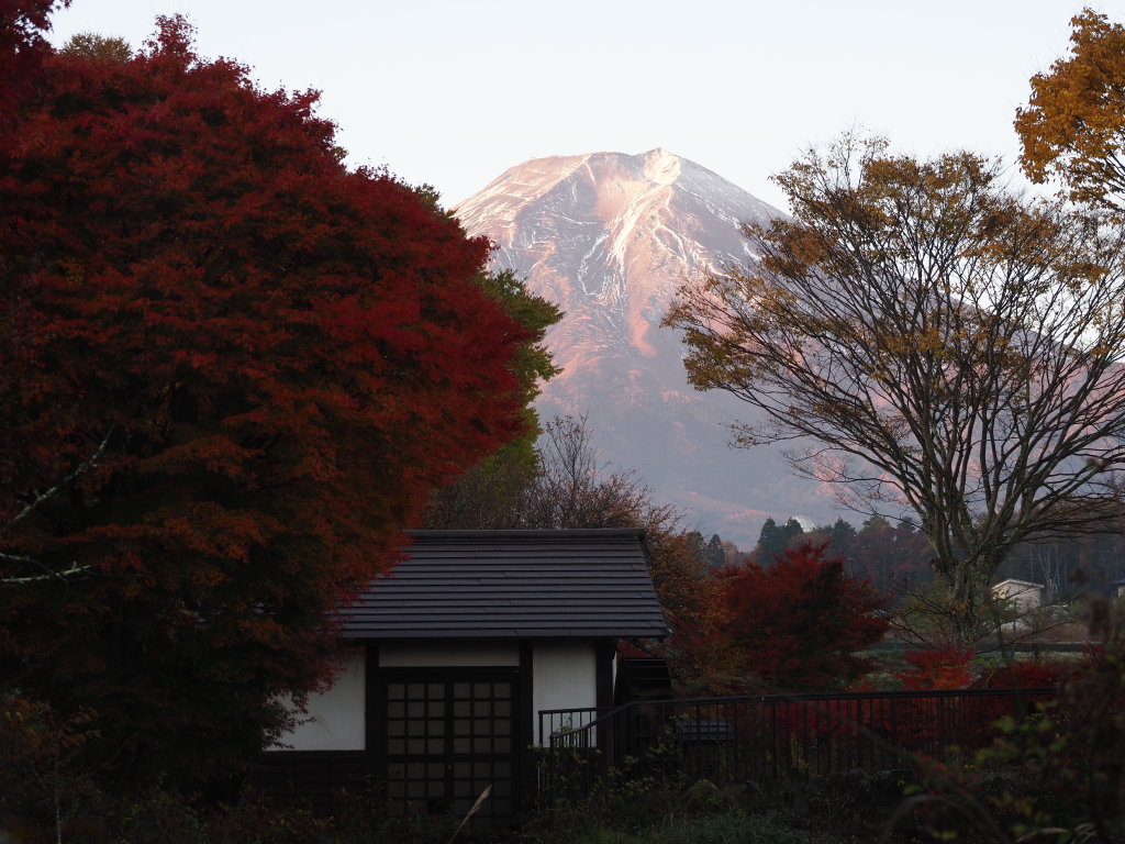 11/08 �g�t�Ɛ��ԏ���