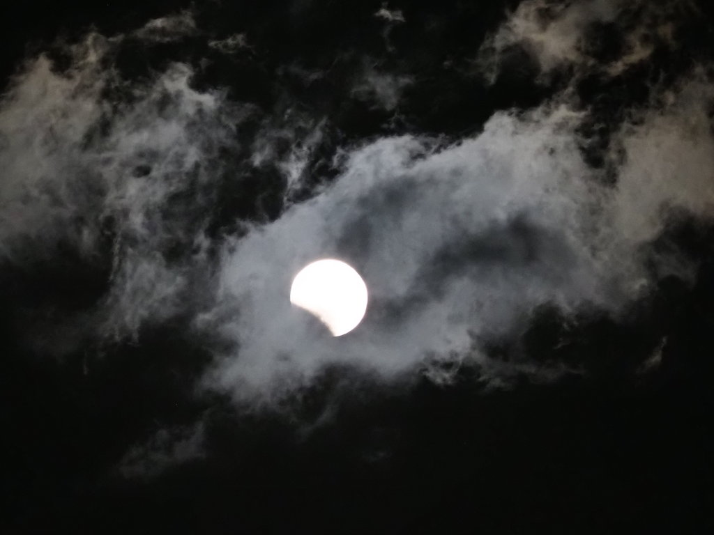 11/08 �F�����H