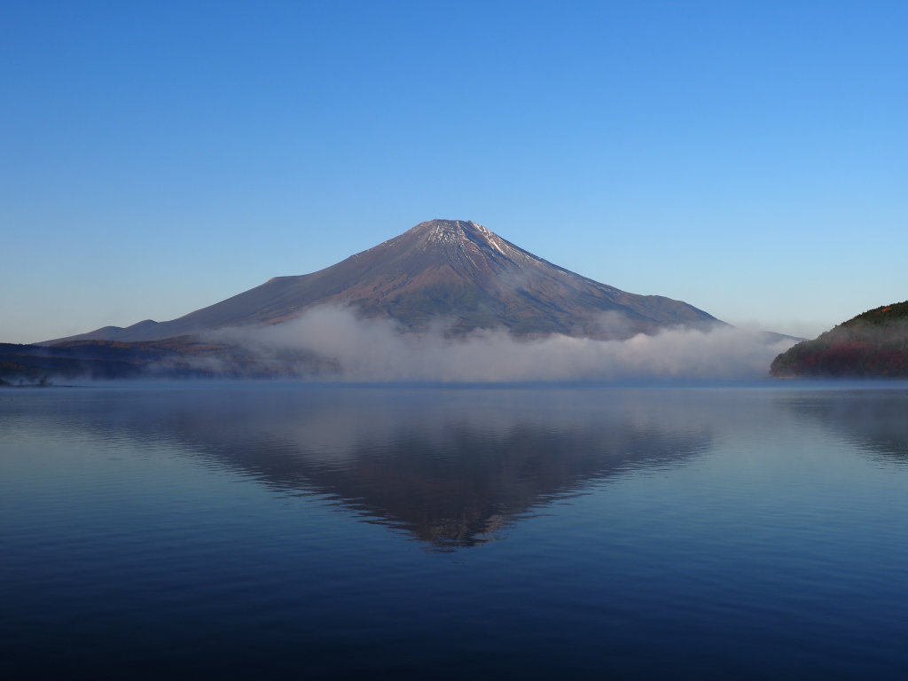 11/10 �_�C�̋t���x�m