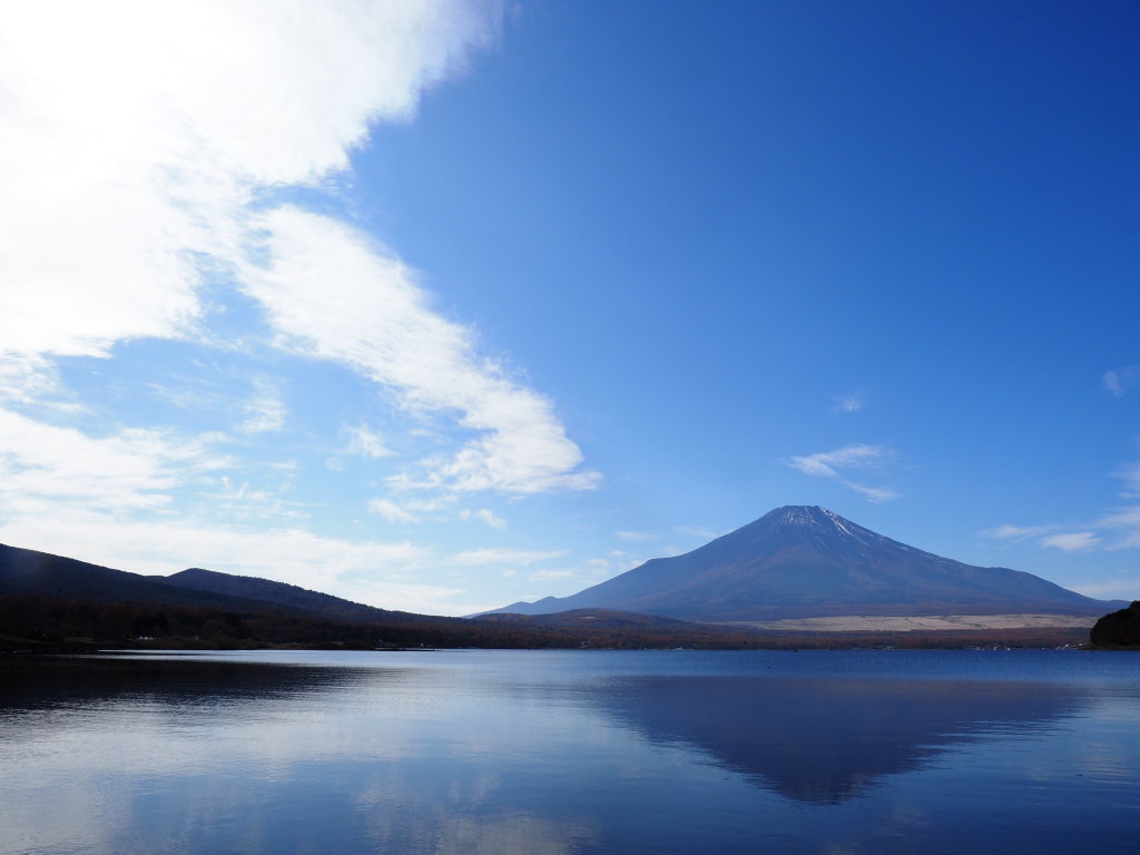 11/10 �_�ƕx�m�R