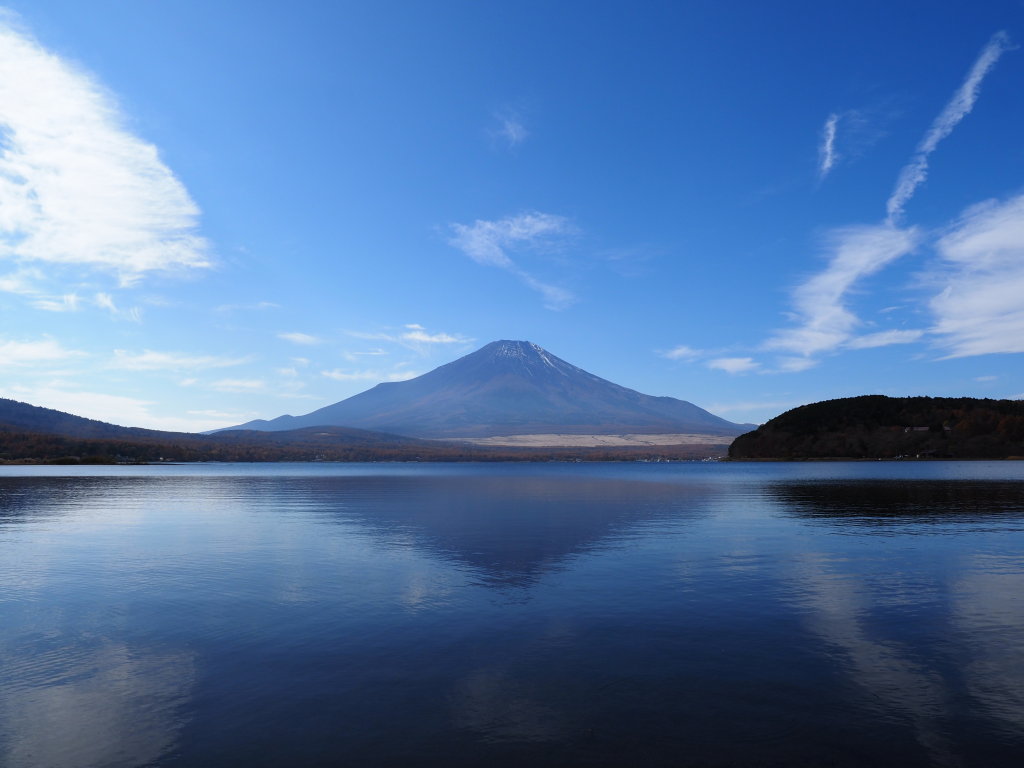 11/10 �_�ƕx�m�R(3)