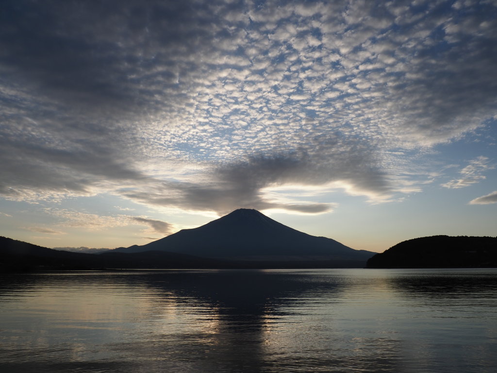 11/10 ���낱�_��t