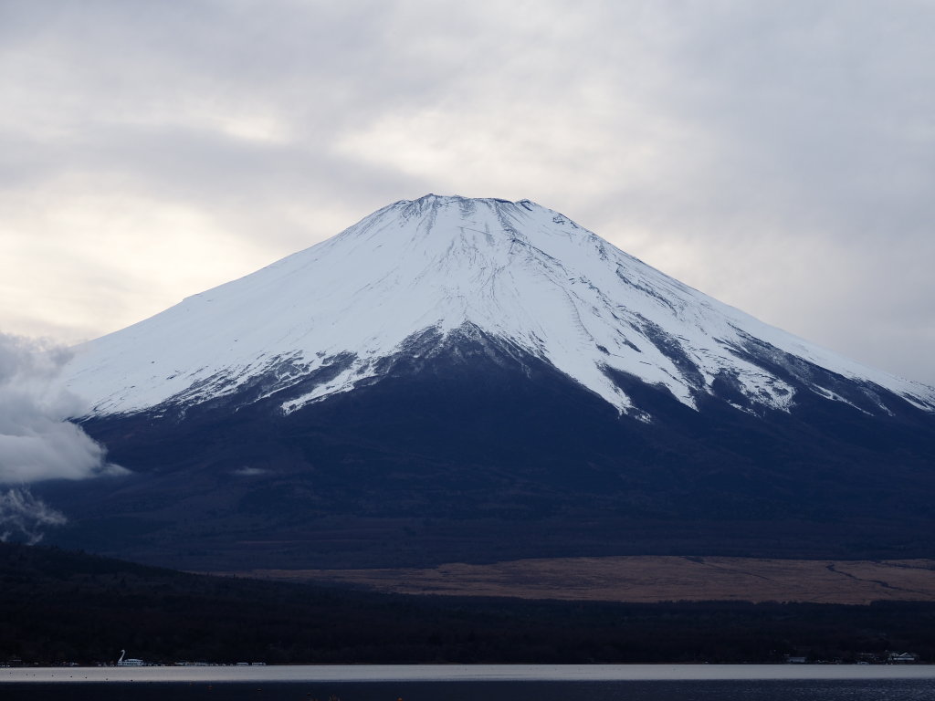 11/24 ���삩��̕x�m�R