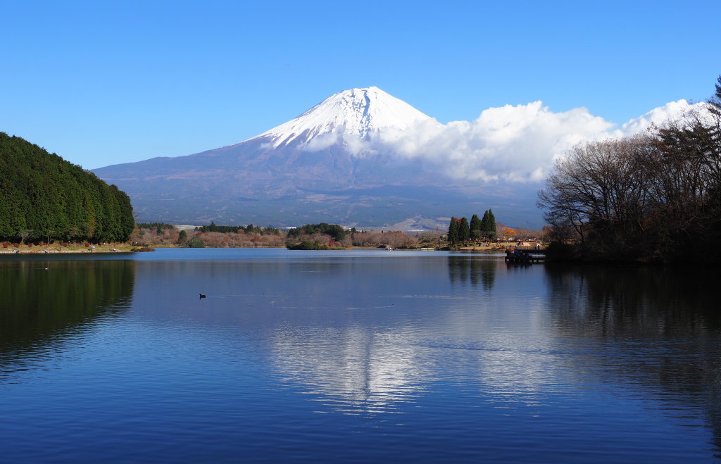 11/27 �c�ь΂���̋t���x�m