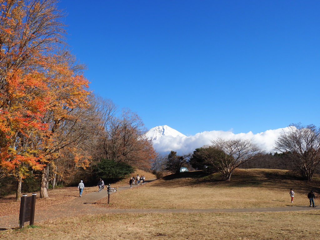 11/27 �g�t�ƕx�m�R