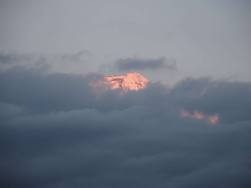 11/27 �R���g���Ȃ�