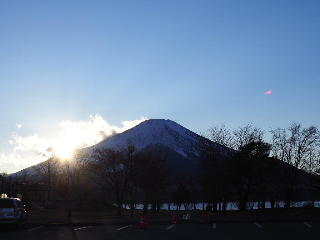 1/5 ���̓���