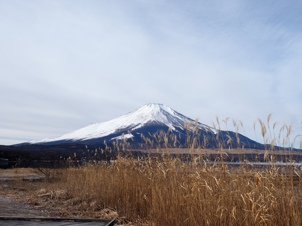 1/6 �X�X�L�ƕx�m�R