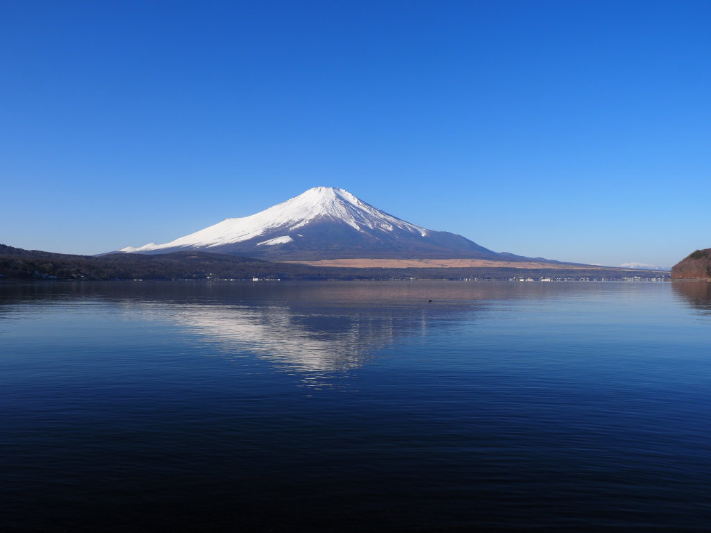 1/8 �A���v�X�ƕx�m�R