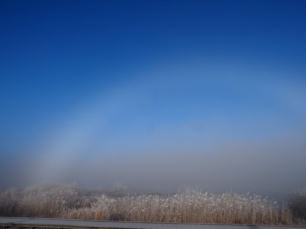 1/9 ������