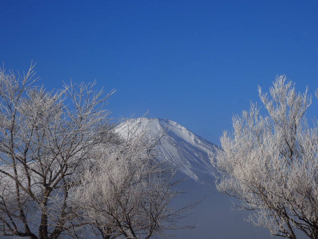 1/9 ���X�ƕx�m�R