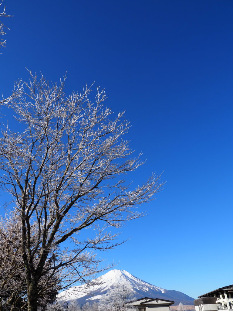 1/9 �Ђт�����̖��X