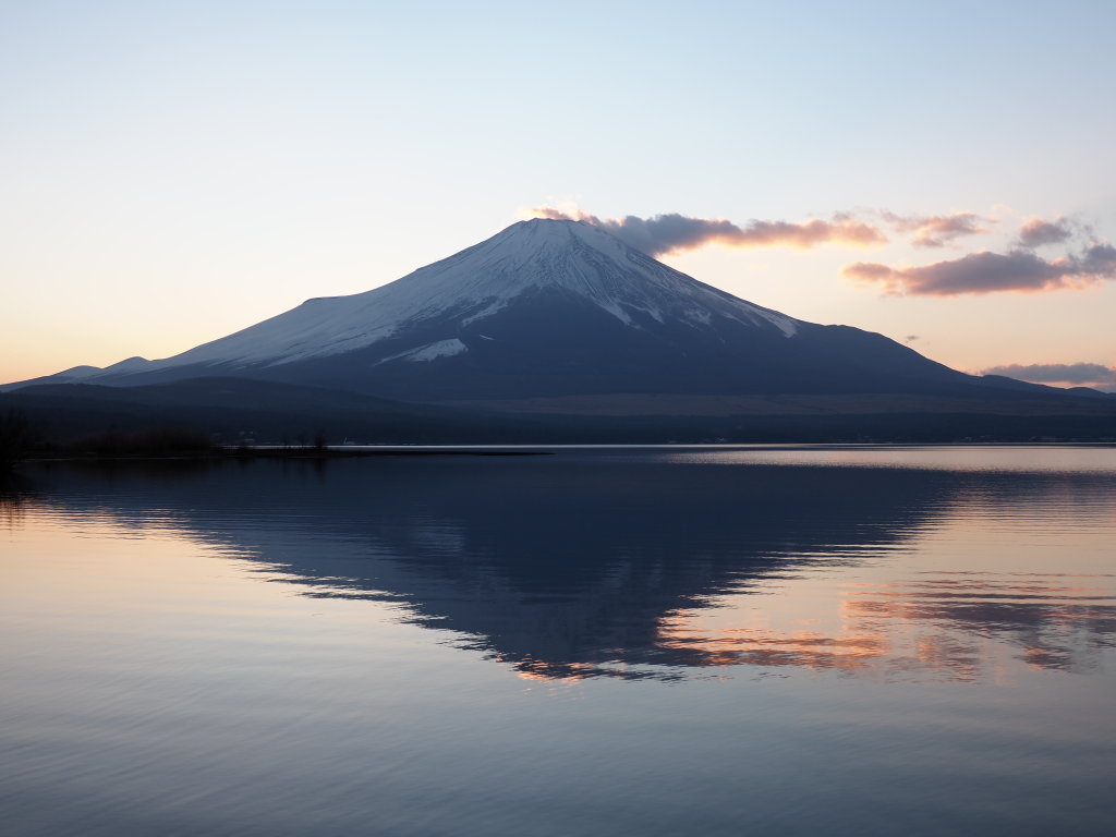 1/9 �[�Ă��̕x�m�R