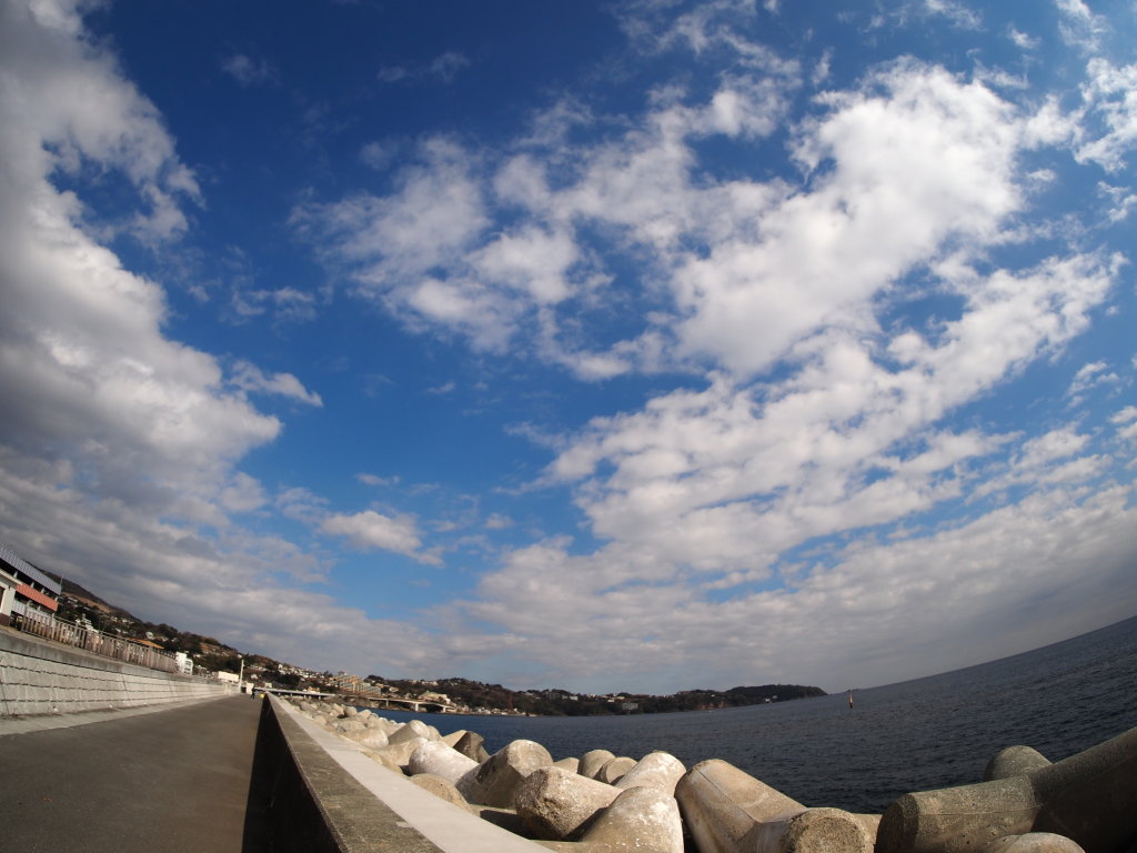 1/31 ���삩��