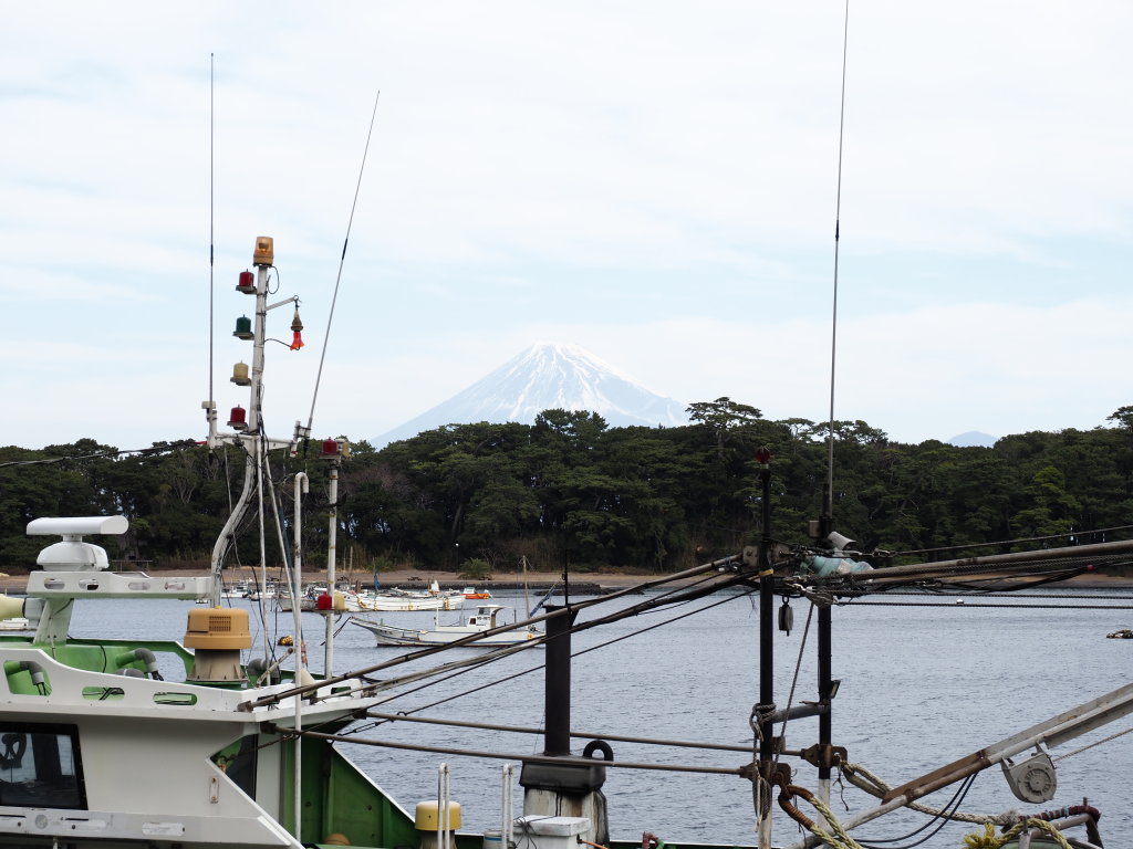 2/1 �˓c���`����