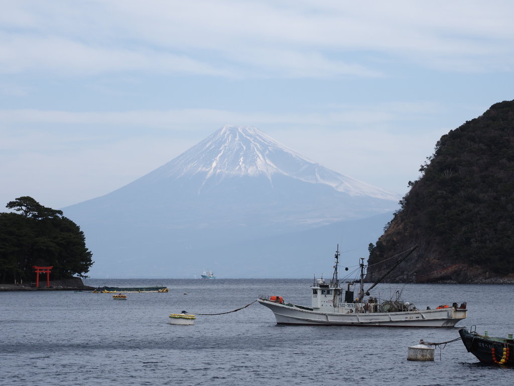 2/1 �˓c���`����(2)