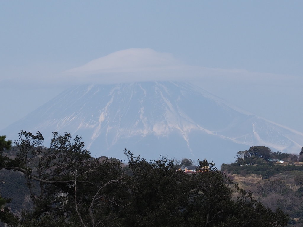 2/1 �����肩��