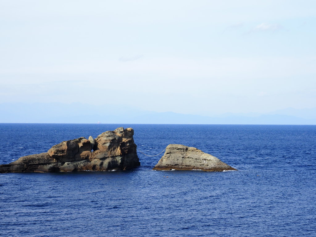 2/1 �_���勴����