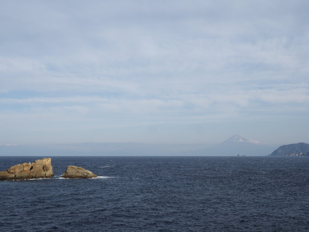 2/2 �_���̕x�m�R