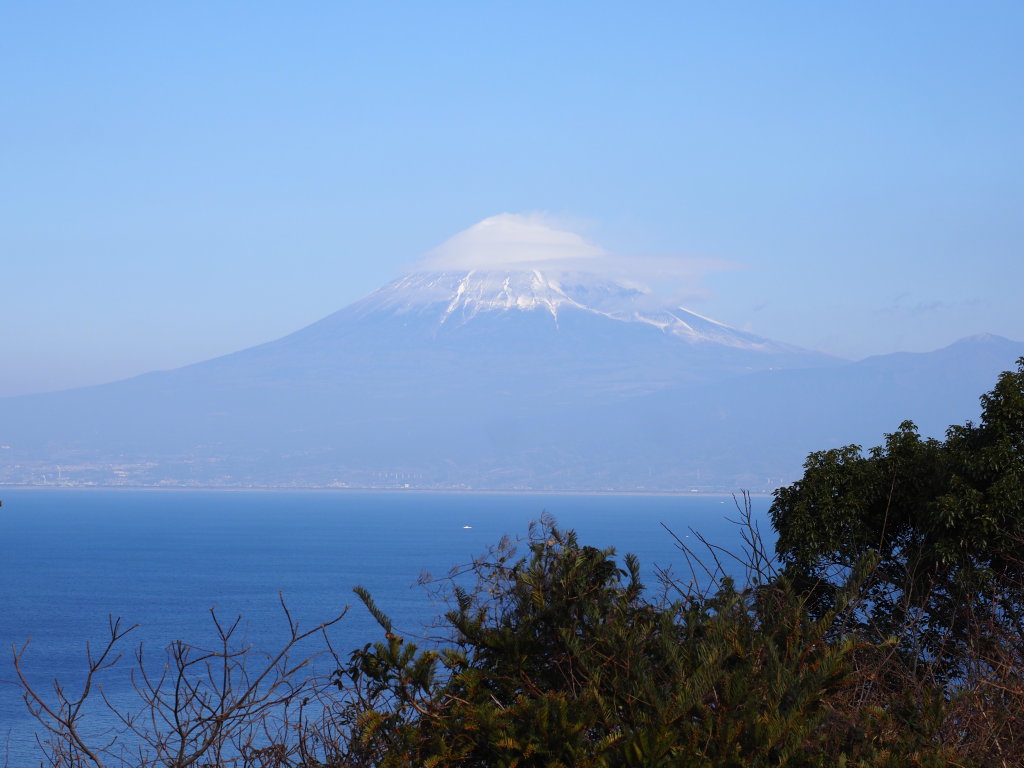 2/4 ���߂��̋u