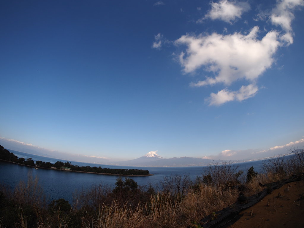 2/4 ���჌���Y�ŎB�e