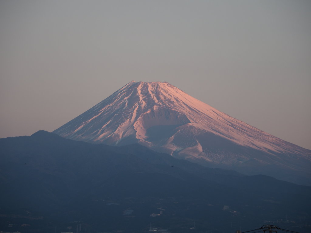 2/5 ���삩��