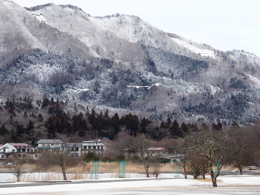 2/14 ���������