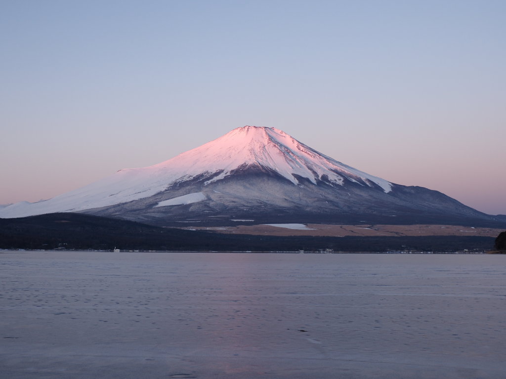 2/16 ���Ă��̕x�m�R