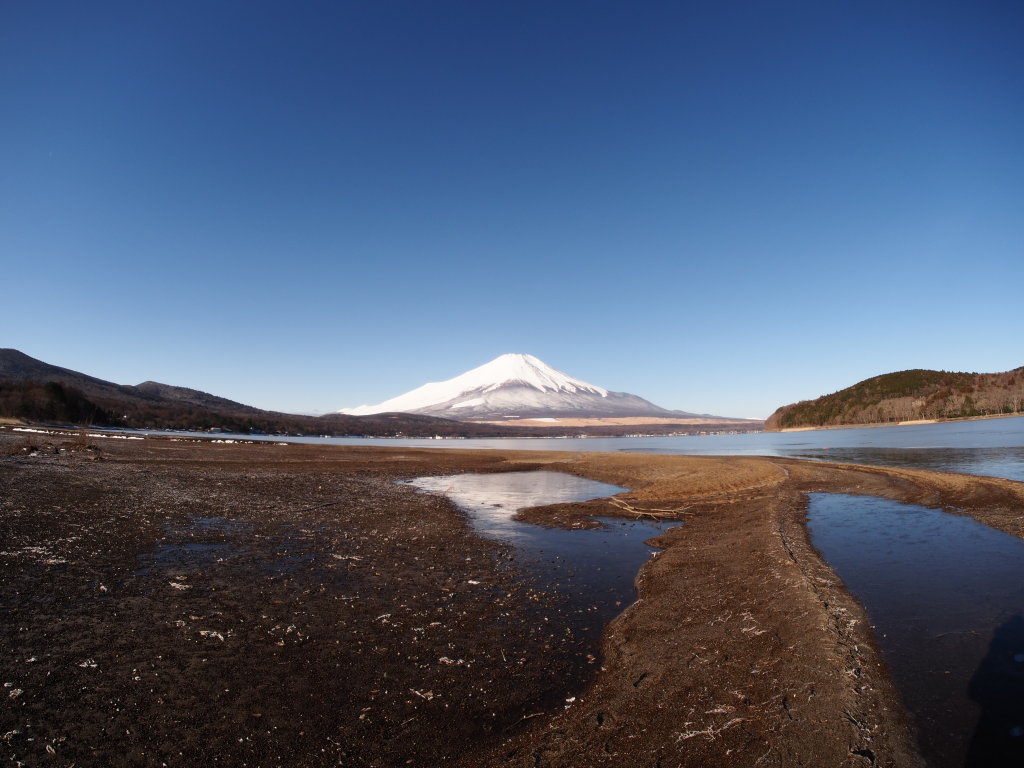 2/16 ��x�삩��̕x�m�R