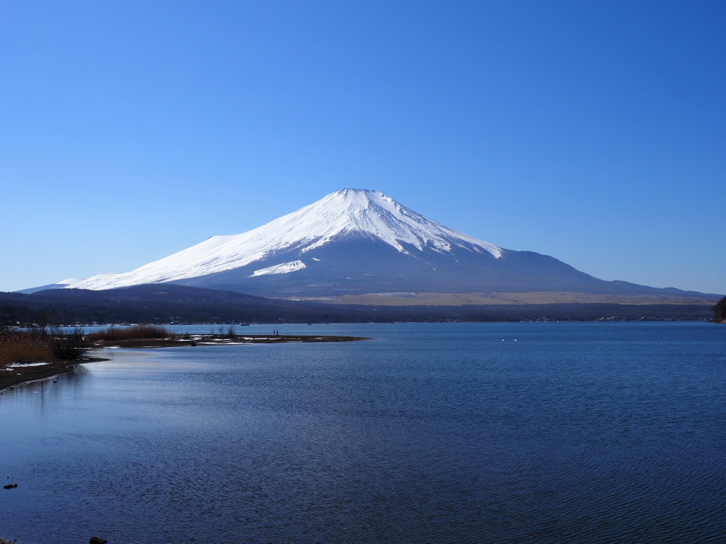 2/27 �s�[�J���̕x�m�R