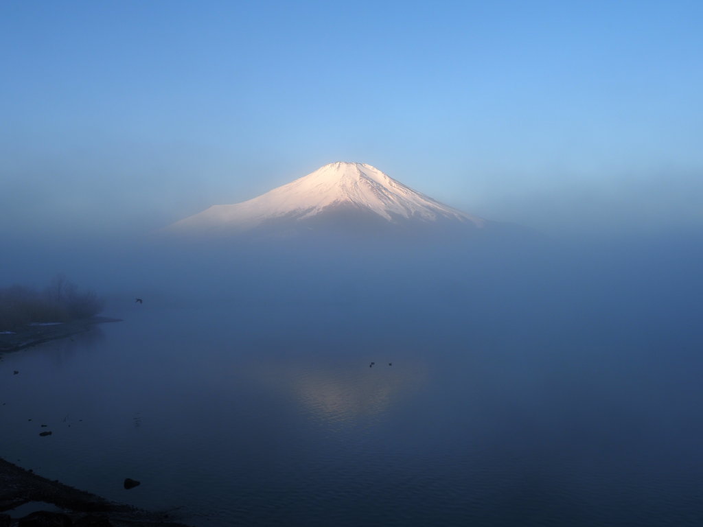 2/28 �_�C�̋t���x�m