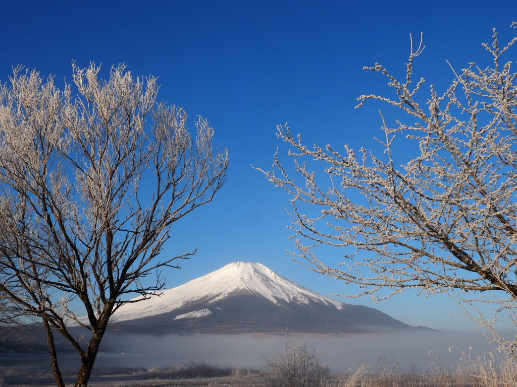 2/28 ���X�ƕx�m�R