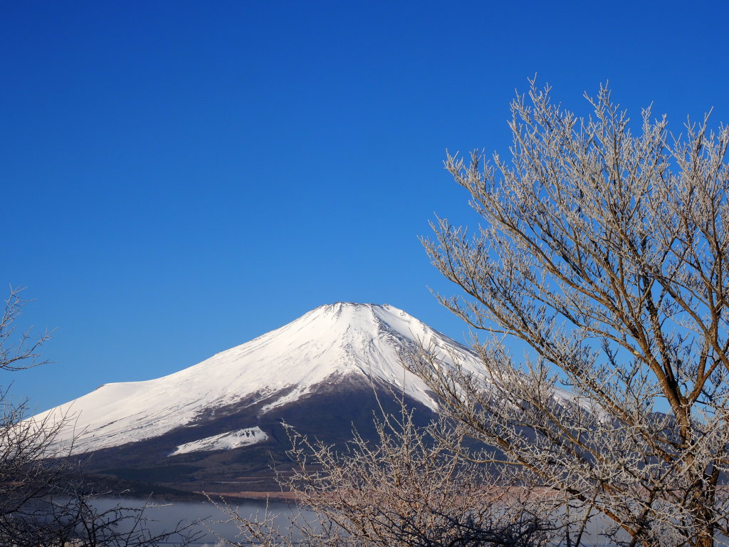 2/28 ���X�ƕx�m�R(2)